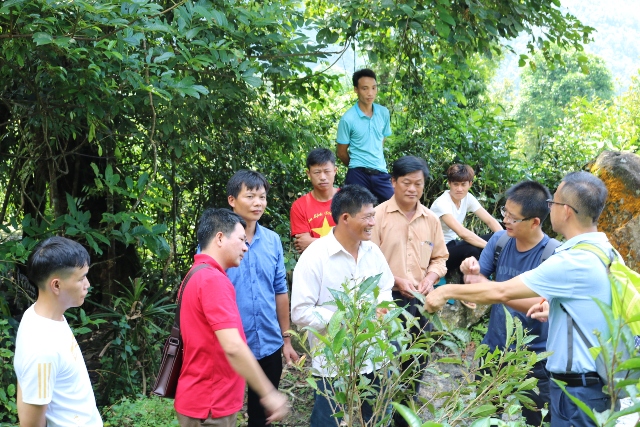 Đoàn công tác Viện khoa học Nông nghiệp tỉnh Vân Nam, Trung Quốc đến khảo sát cây chè và cây cam tại huyện Quang Bình